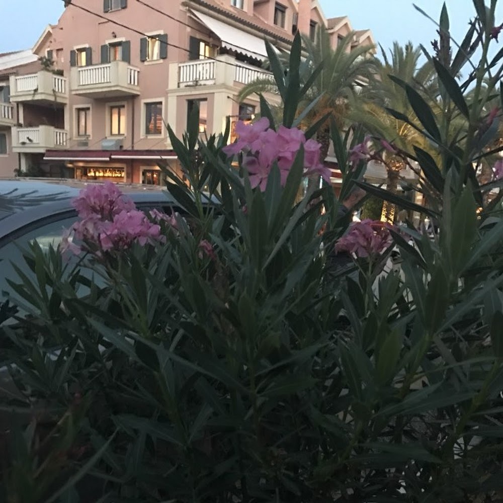 Meet your Posher, Kate